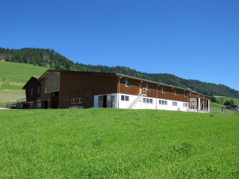 Umbau und Erweiterung Laufstall, Schüpfheim