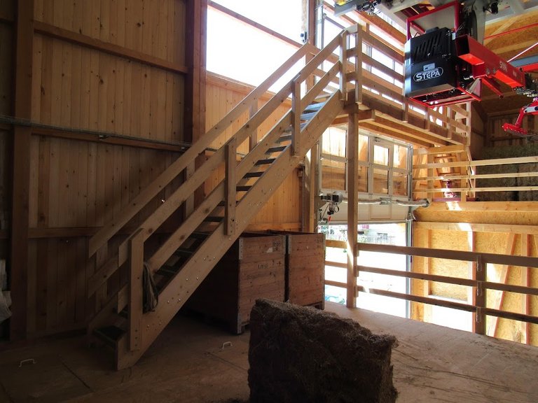 Neubau Scheune, Schüpfheim