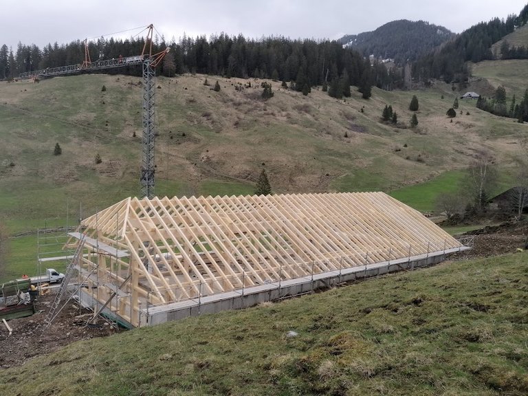 Neubau Alpstall, Hasle