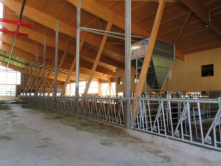 Umbau und Erweiterung Laufstall, Schüpfheim