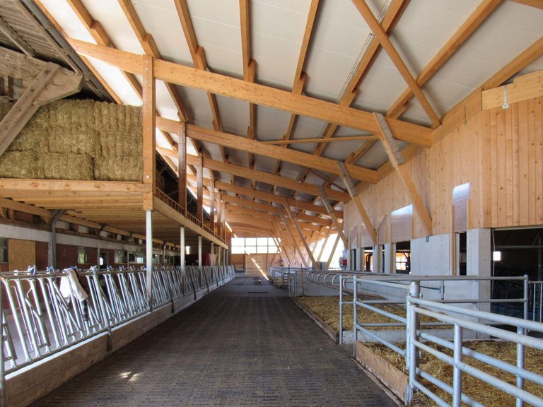 Anbau Ökonomiegebäude, Schüpfheim