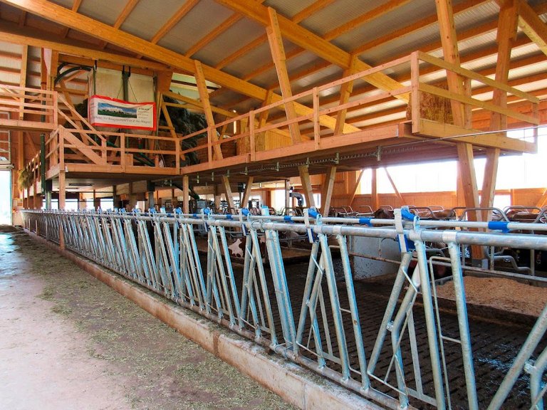 Anbau und Erweiterung Scheune, Schüpfheim