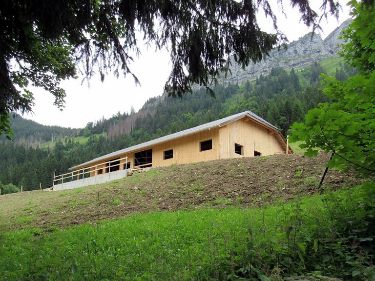 Neubau Alpstall, Hasle