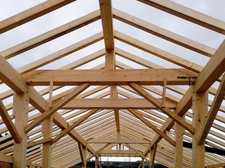 Neubau Alpstall, Hasle