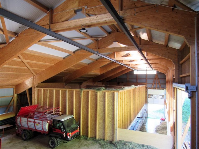 Neubau Milchviehlaufstall, Schüpfheim