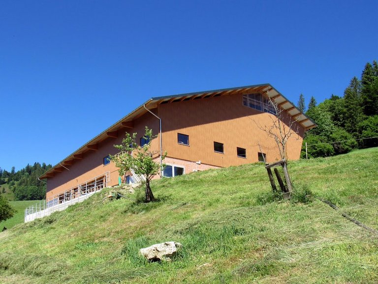 Neubau Milchviehlaufstall, Schüpfheim